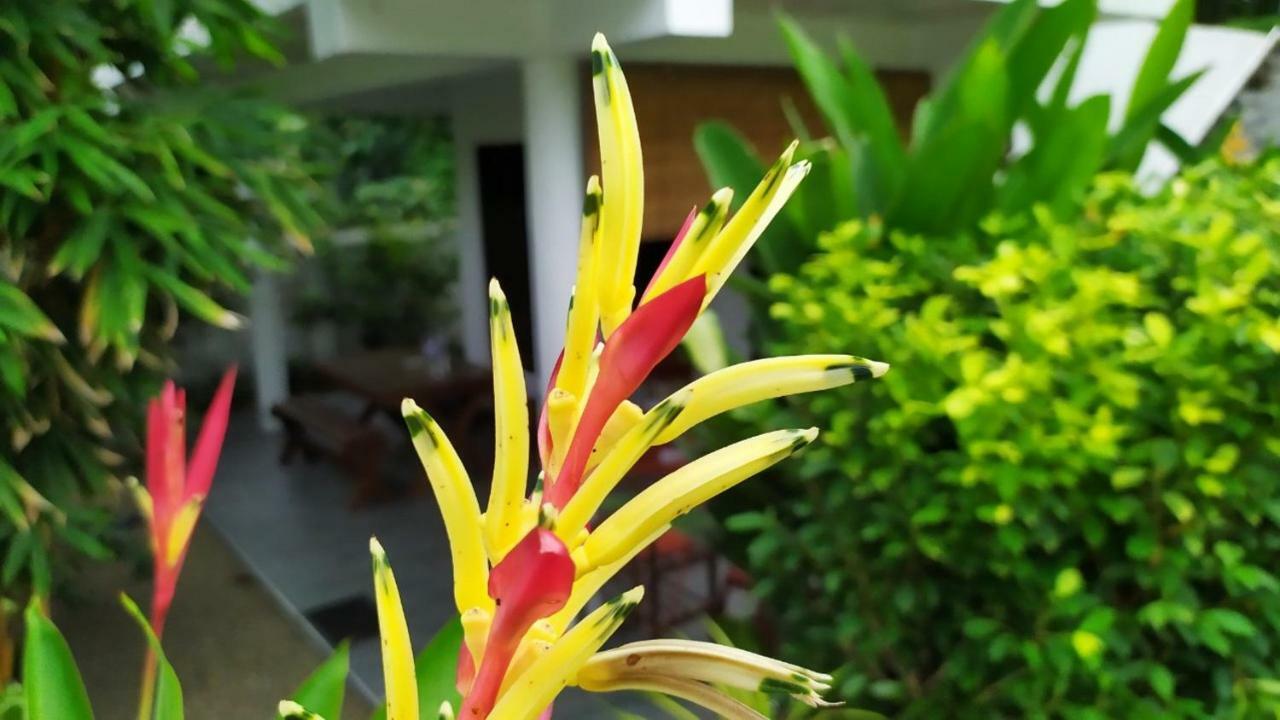 Sunbeam Villa 탕갈레 외부 사진